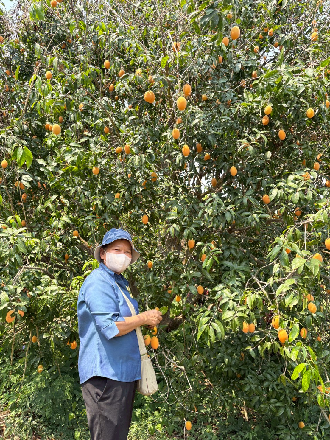 title - ส.ป.ก.นครปฐม จัดโครงการที่ดินพระราชทานในเขตปฏิรูปที่ดินจังหวัดนครปฐม ปีงบประมาณ พ.ศ. 2569 หลักสูตร การจัดการที่ดินและระบบการผลิตที่มีประสิทธิภาพ เพื่อเพิ่มโอกาสด้านการท่องเที่ยว ระยะที่ 3